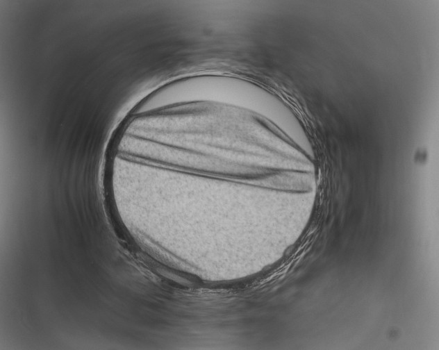 X0000116600292201001081155