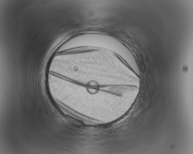 X0000116600293201001081155