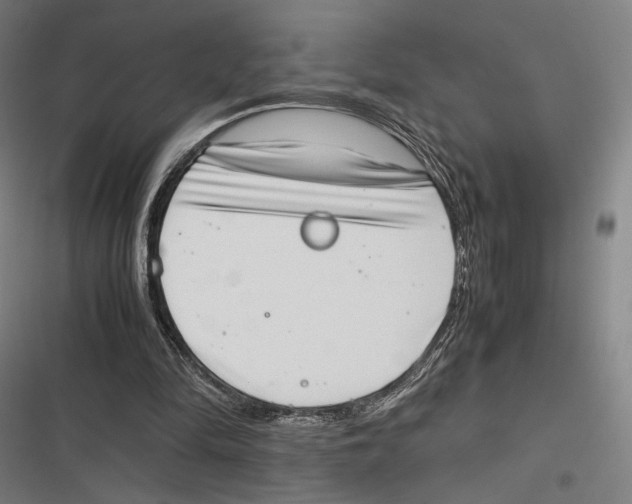 X0000116600294201001081155