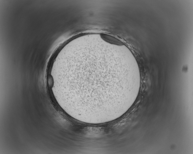 X0000116600296201001081155