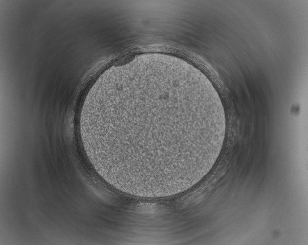 X0000116600298201001081155