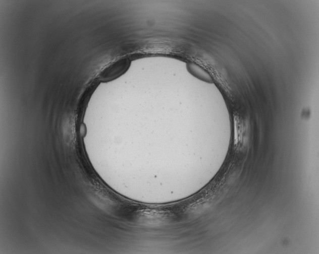 X0000116600300201001081155