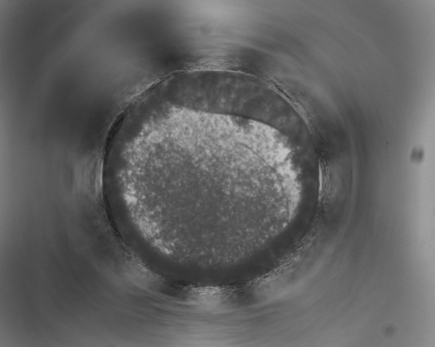 X0000116600301201001081155