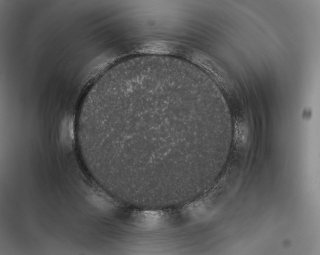 X0000116600302201001081155