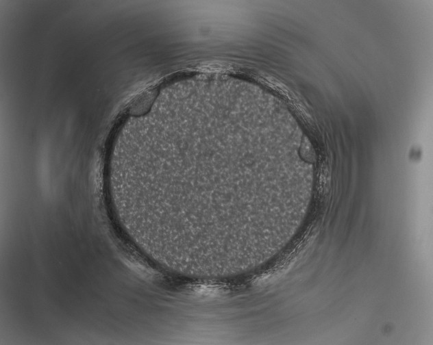 X0000116600303201001081155