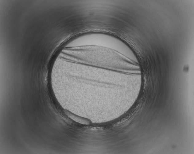 X0000116600304201001081155