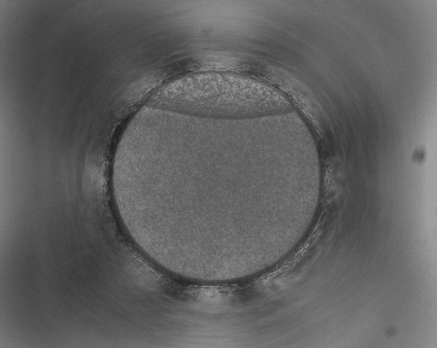 X0000116600305201001081155