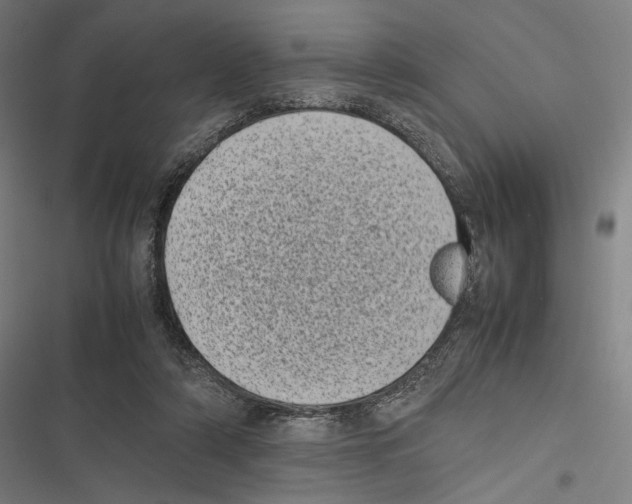 X0000116600306201001081155