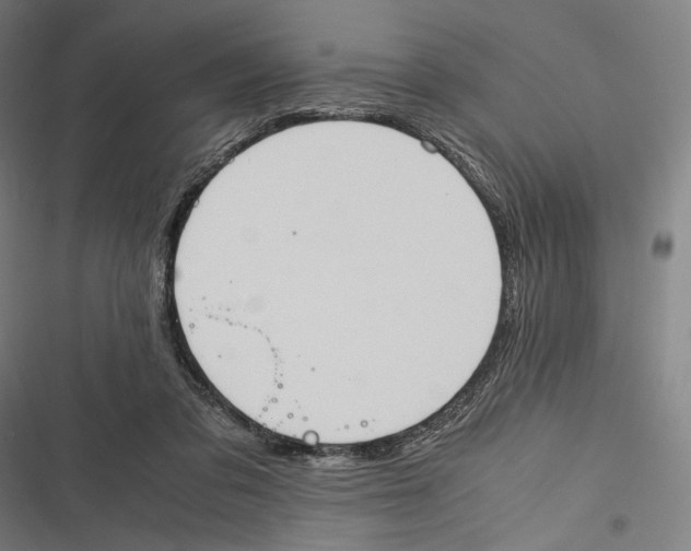 X0000116600309201001081155