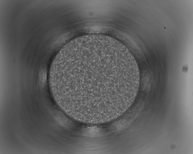 X0000116600310201001081155