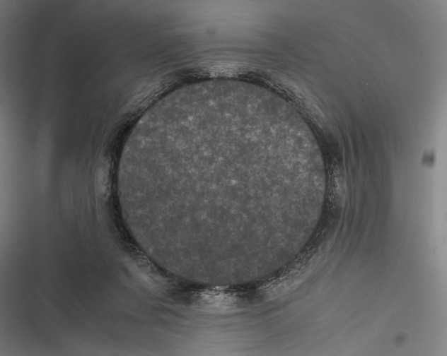 X0000116600311201001081155