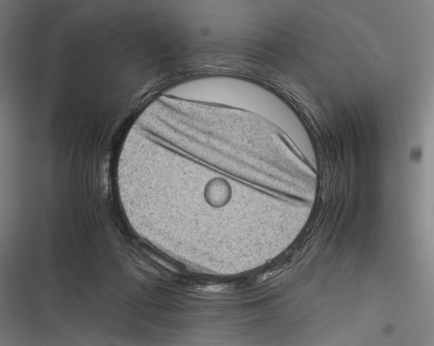 X0000116600312201001081155