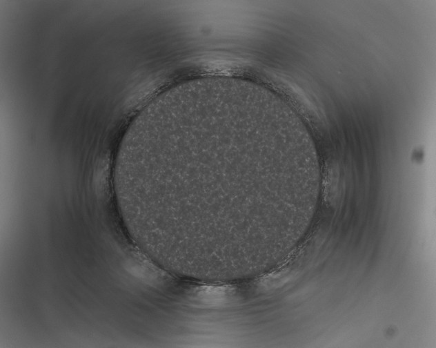 X0000116600314201001081155
