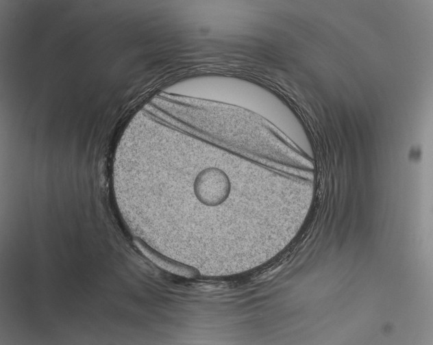 X0000116600317201001081155