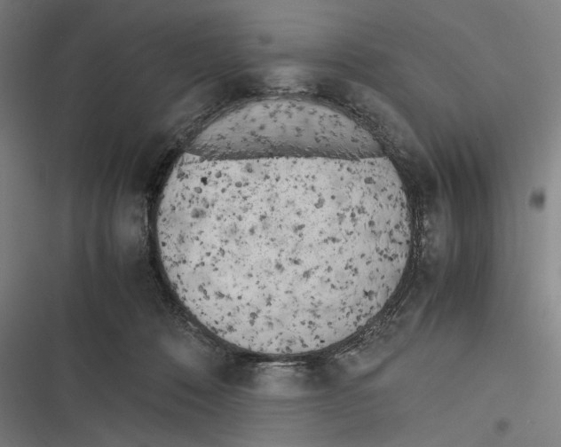 X0000116600320201001081155