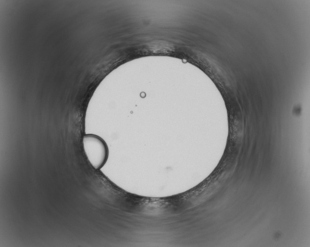 X0000116600321201001081155