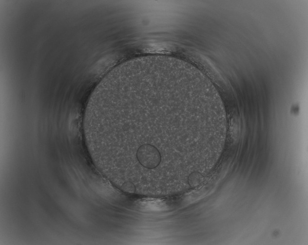 X0000116600322201001081155