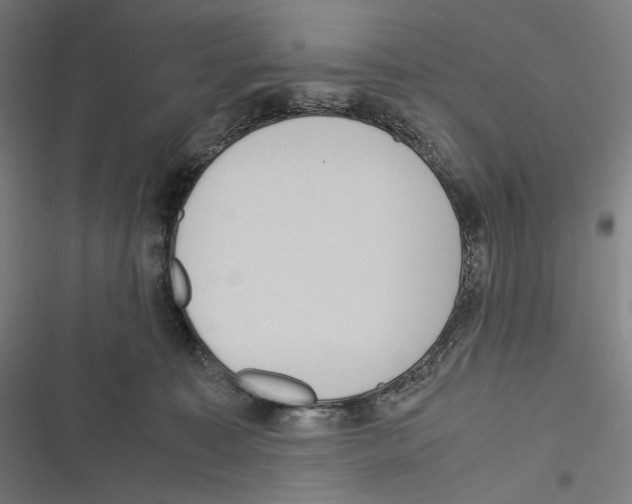 X0000116600323201001081155