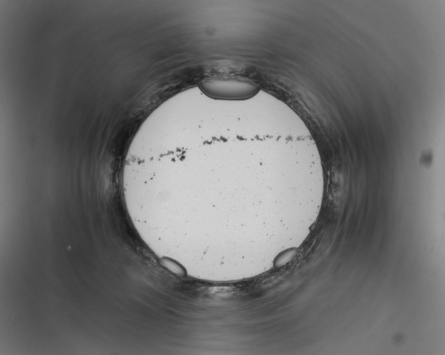 X0000116600324201001081155