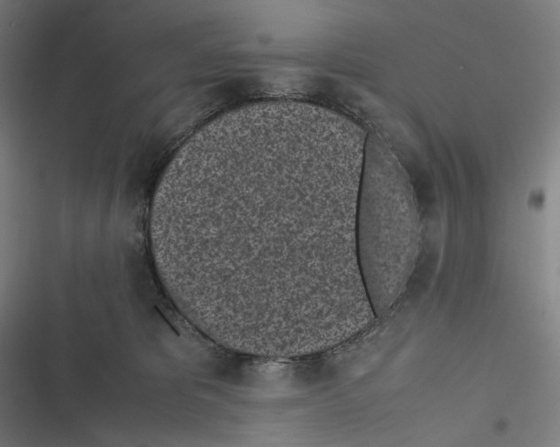 X0000116600325201001081155