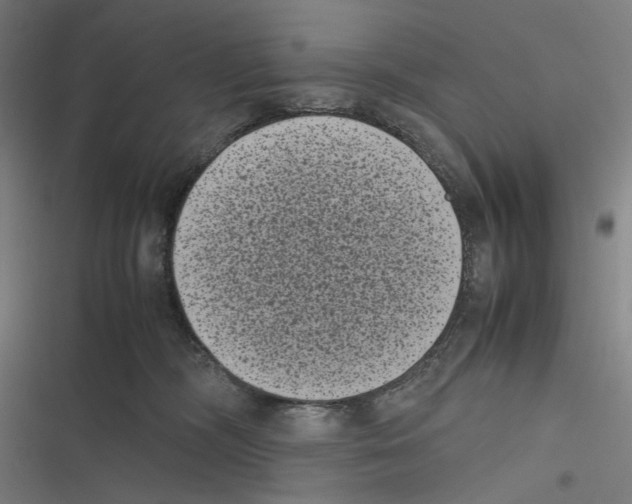 X0000116600326201001081155