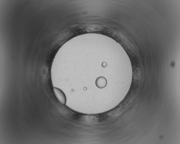 X0000116600327201001081155