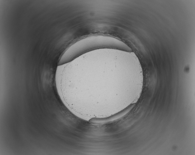 X0000116600328201001081155
