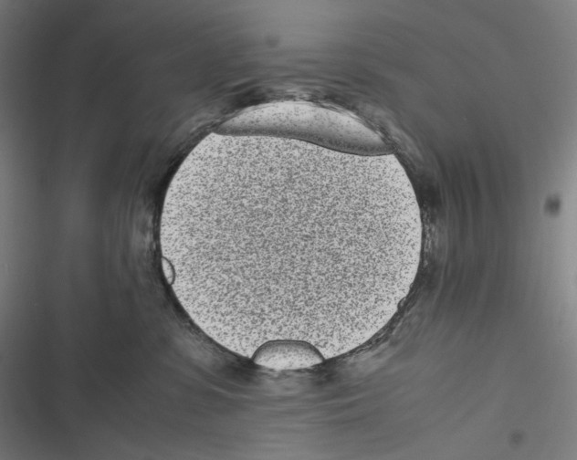 X0000116600331201001081155