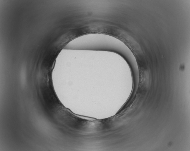 X0000116600333201001081155