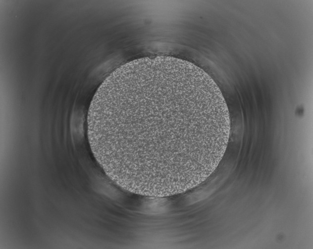 X0000116600334201001081155