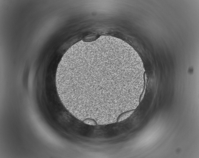 X0000116600335201001081155