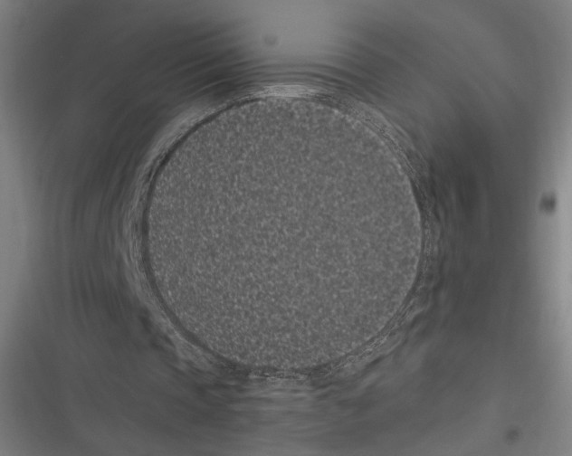 X0000116600337201001081154