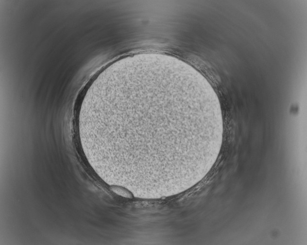 X0000116600338201001081154