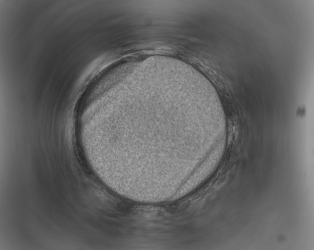 X0000116600339201001081154