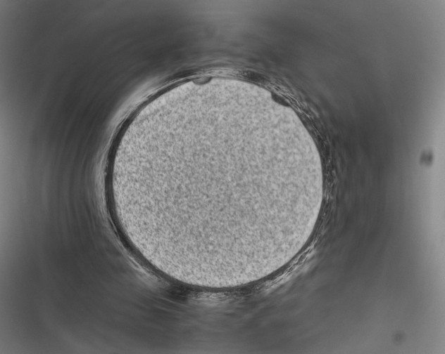 X0000116600341201001081154