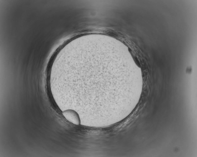 X0000116600342201001081154