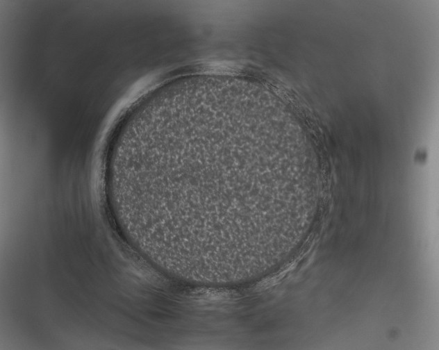 X0000116600343201001081154