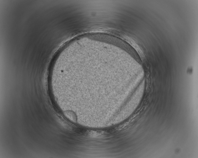 X0000116600346201001081154
