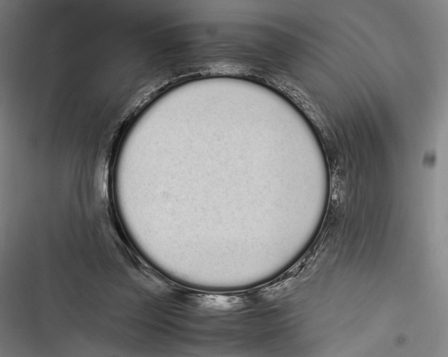 X0000116600347201001081154