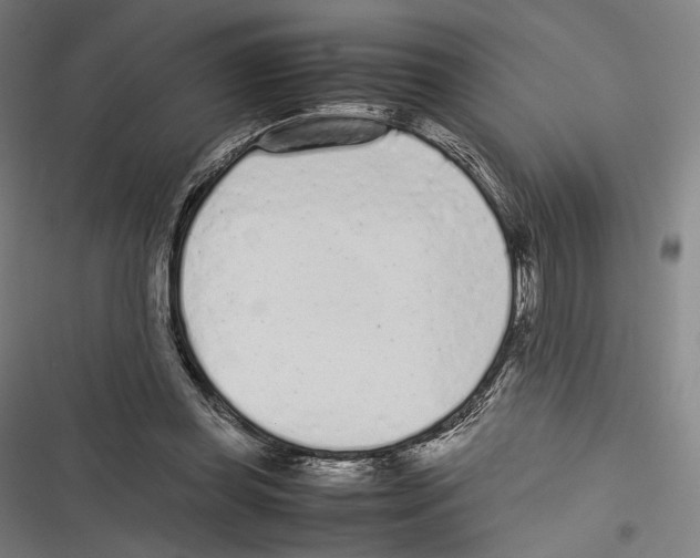 X0000116600349201001081154