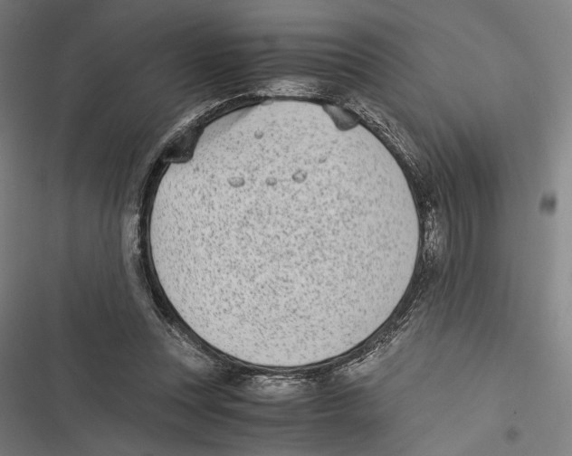 X0000116600351201001081154