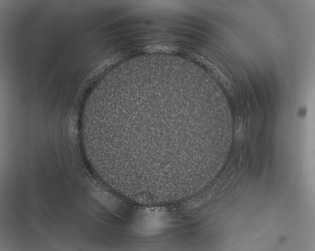 X0000116600353201001081154