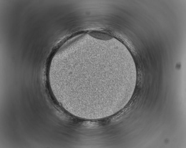 X0000116600354201001081154