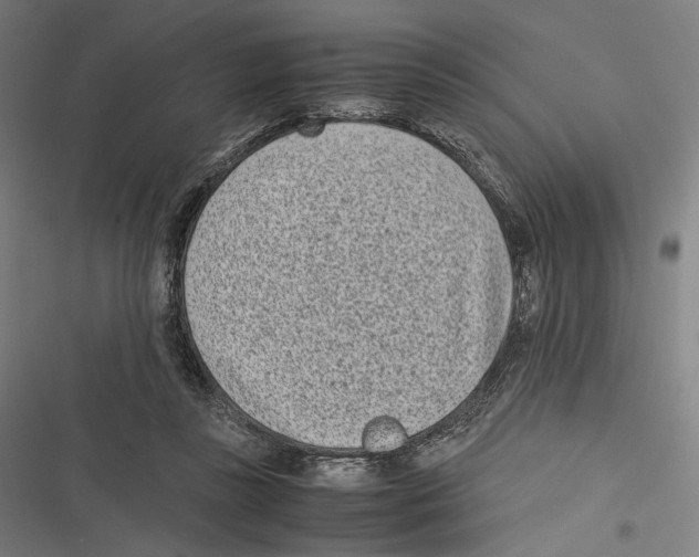 X0000116600355201001081154