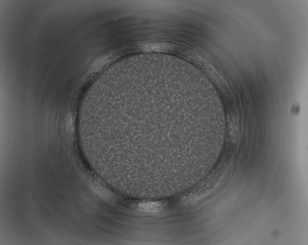 X0000116600357201001081154