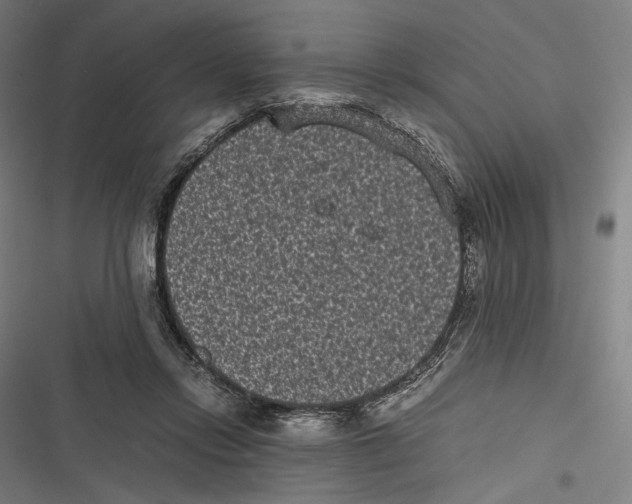 X0000116600358201001081154