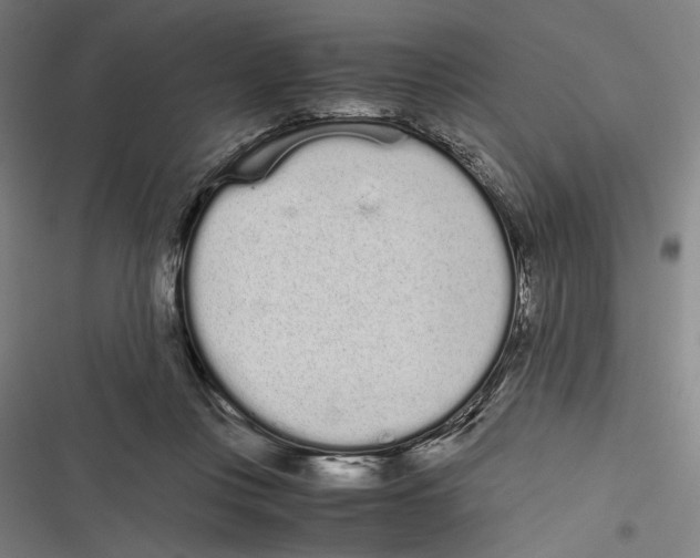 X0000116600359201001081154