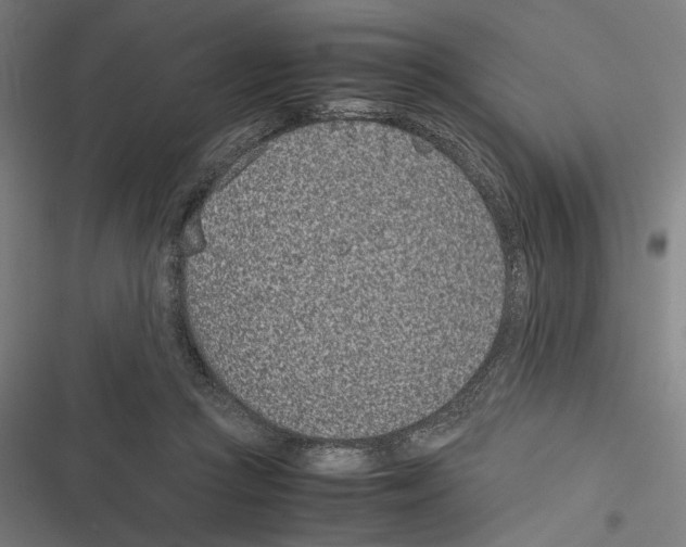 X0000116600361201001081154