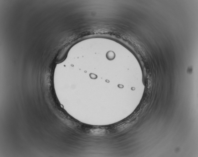 X0000116600362201001081154