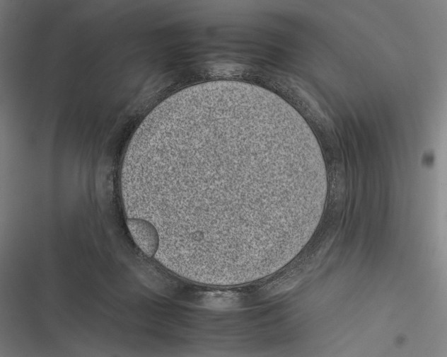 X0000116600363201001081154